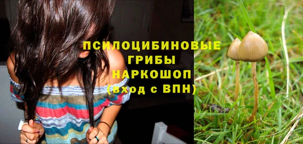СК Верея