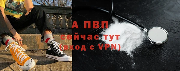 СК Верея